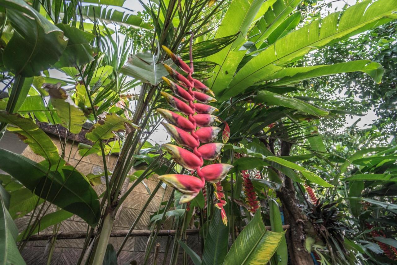 Tegar Guest House Ubud Exterior foto